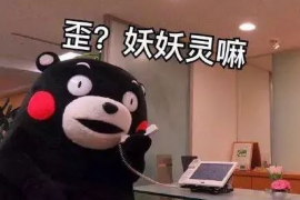 沧县债务清欠服务